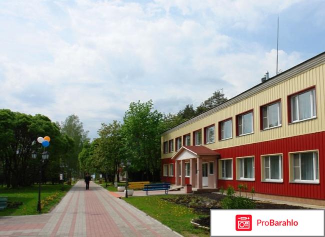 Сосновый бор подмосковье