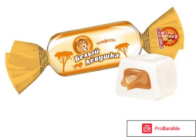 Кондитерская фабрика славянка фото