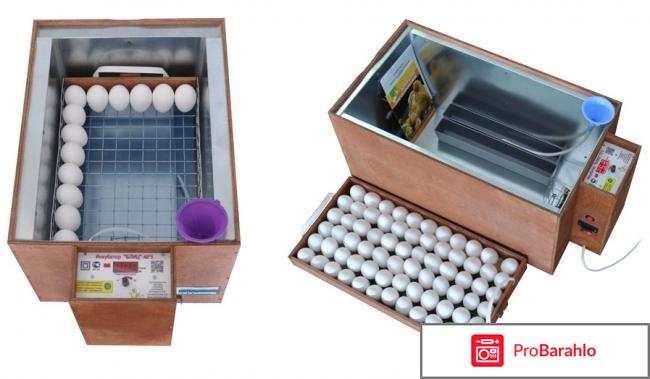 Какой купить инкубатор для дома отзывы отрицательные отзывы