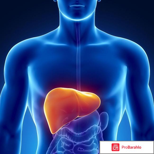 Эссливер отрицательные отзывы