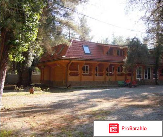 Кипарисовая аллея пицунда 