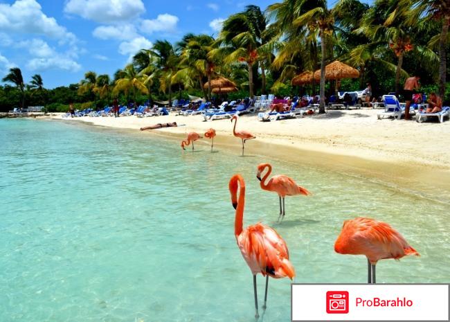 Кюрасао остров отзывы туристов отрицательные отзывы