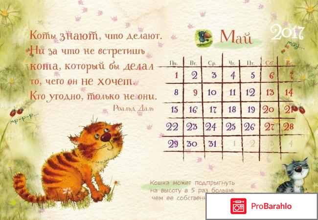 Книга  Настольный календарь 2017. 365 дней с котом отрицательные отзывы