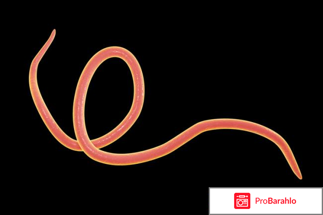 Противопаразитарное средство 