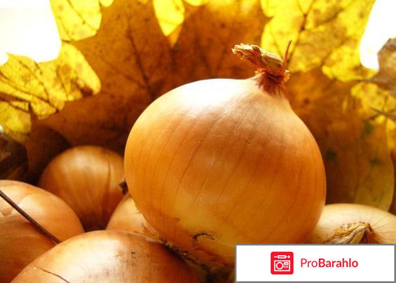 Луковая шелуха для волос от выпадения отзывы обман