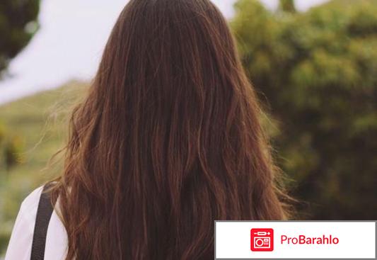 Шампунь желтковый отзывы реальные отзывы