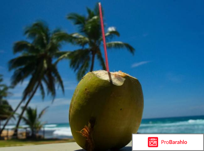 Шри ланка в ноябре отзывы туристов отзывы владельцев