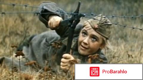 Зори фильм отзывы обман