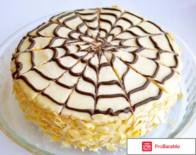 Эстерхази отрицательные отзывы