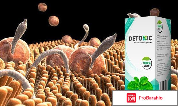 Detoxic от паразитов: цена, отзывы, купить Детоксик отрицательные отзывы