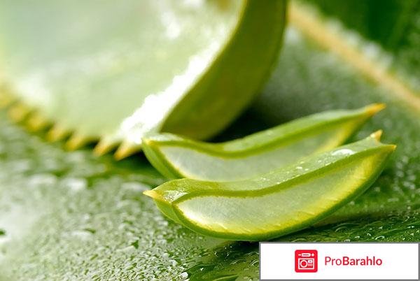 Экстракт алоэ по федорову цена 