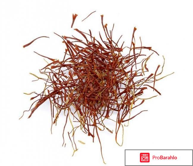 Шафран фото отрицательные отзывы