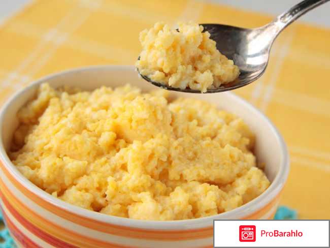 Диета на кукурузной каше отзывы обман