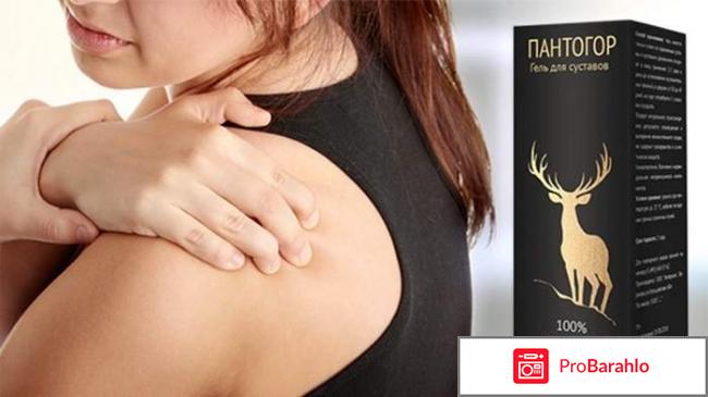 Пантогор для суставов фото