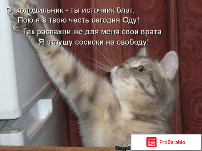 Котоматрица 