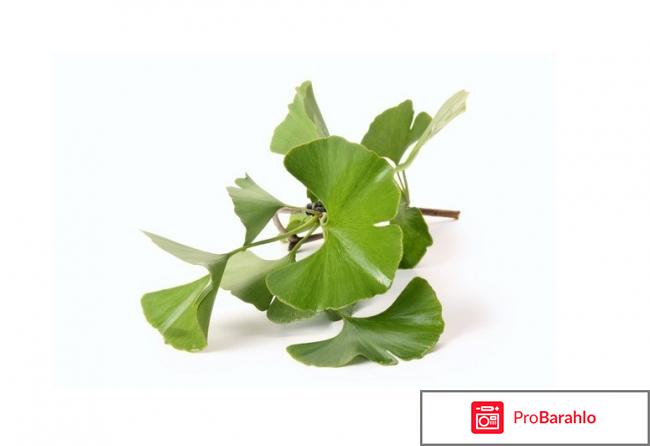 Гинкоум отзывы врачей отрицательные отзывы