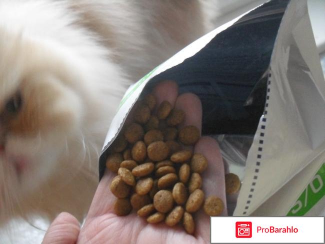 Сухой корм для кошек  Royal Canin Veterinary Diet Urinary SO отзывы владельцев