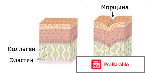 Омолаживающая эссенция Чистый коллаген реальные отзывы