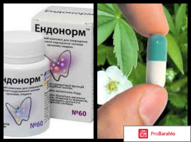Эндонорм отзывы врачей эндокринологов отрицательные отзывы