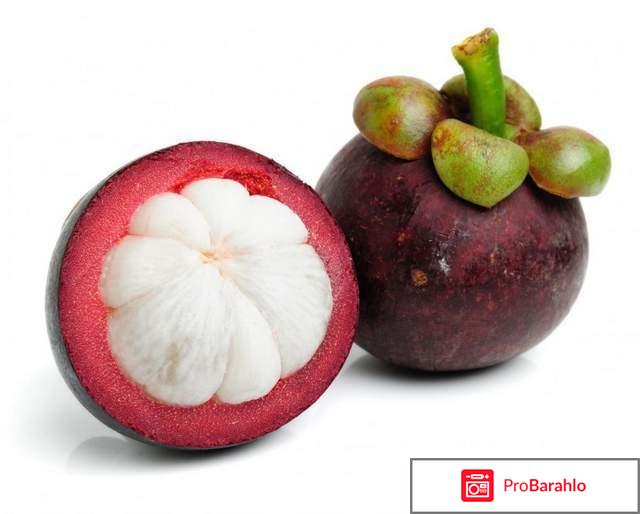 Тропический фрукт мангустин: состав, польза, как едят отрицательные отзывы