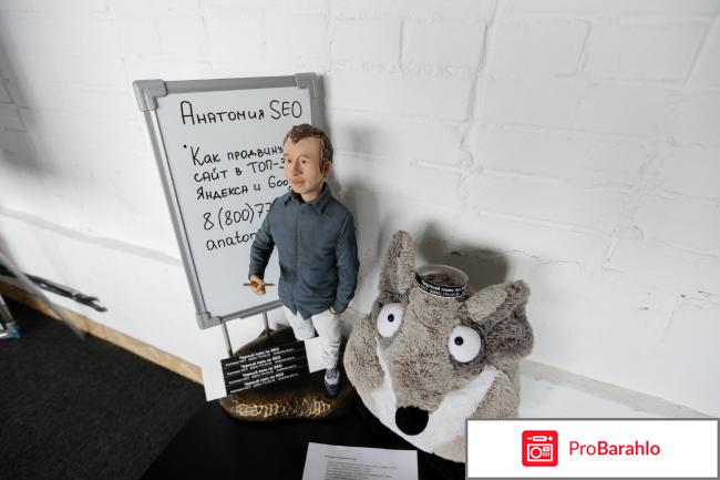 Анатомия сео отрицательные отзывы