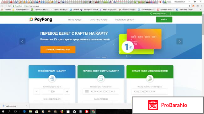 PayPong – онлайн платформа мгновенных финансовых услуг отрицательные отзывы