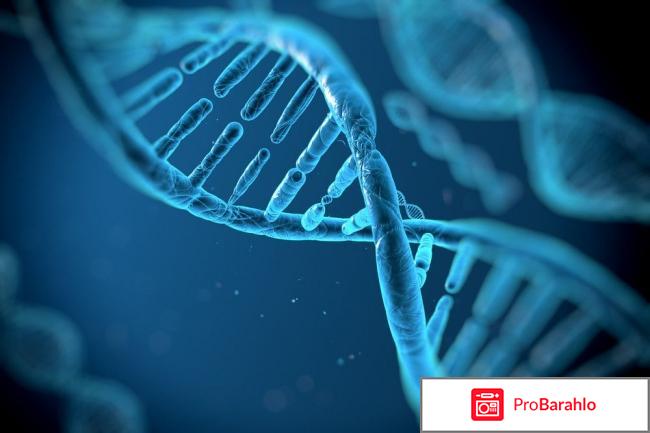 Тета хилинг что это такое отзывы отрицательные отрицательные отзывы