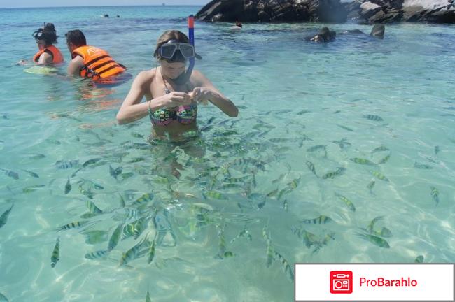 Пхукет отзывы туристов 2017 цены отрицательные отзывы