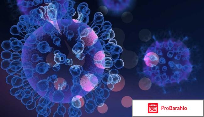 Тималин иммунологов 