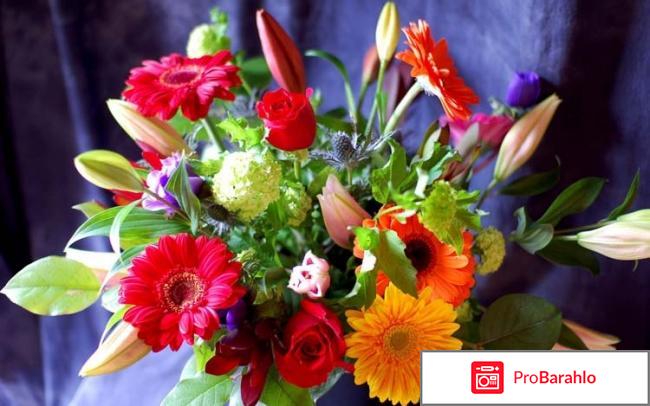 Самсунг галакси s7 edge отзывы фото