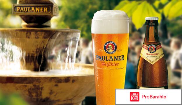 Paulaner 