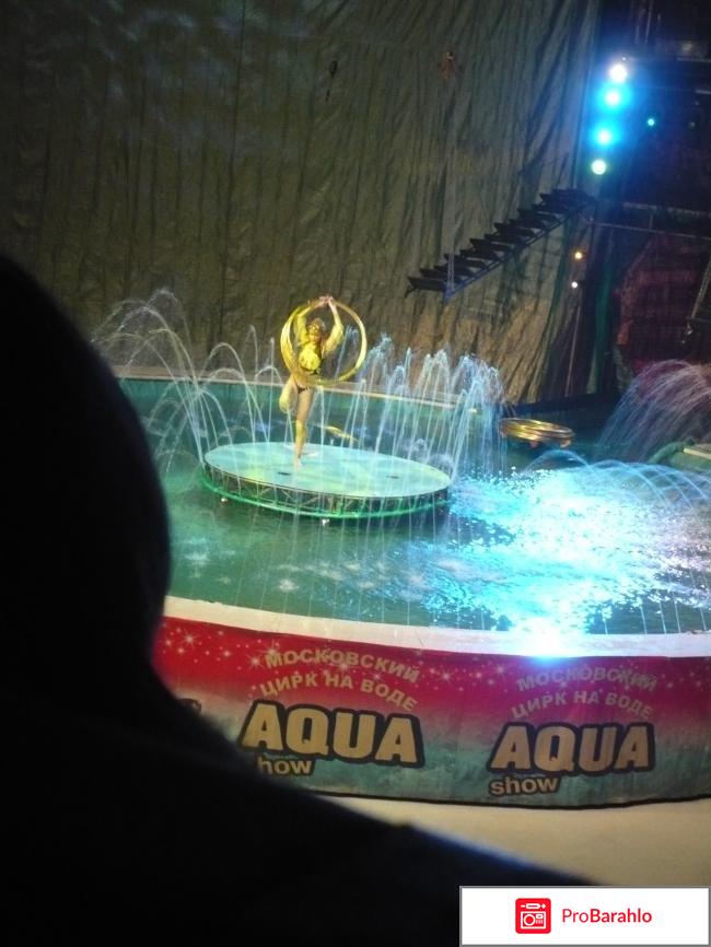 Московский цирк на воде Aqua show реальные отзывы
