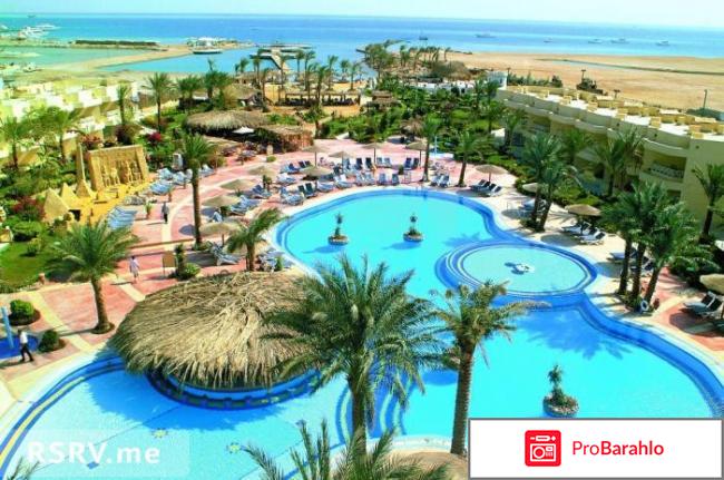 Султан бич 4 хургада 