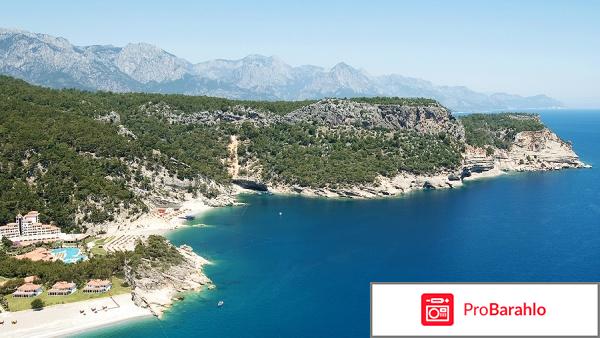 Кириш отрицательные отзывы