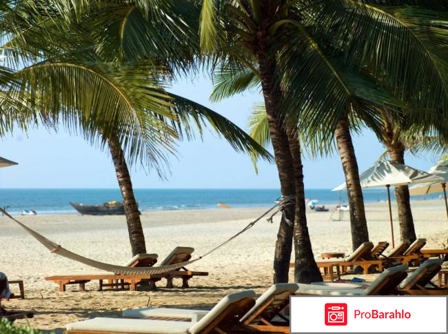 Индия в декабре отзывы туристов отзывы владельцев