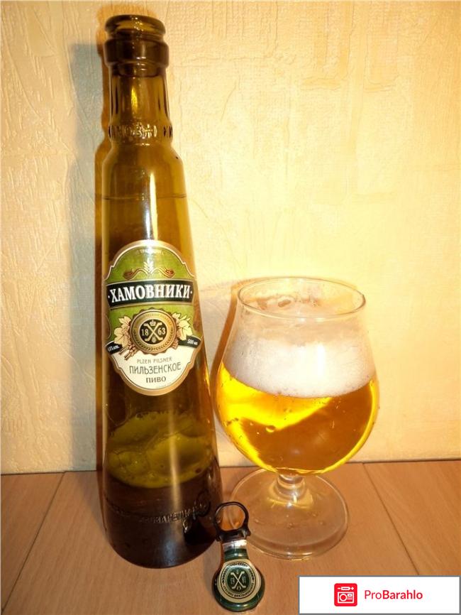 Хамовники пильзенское 