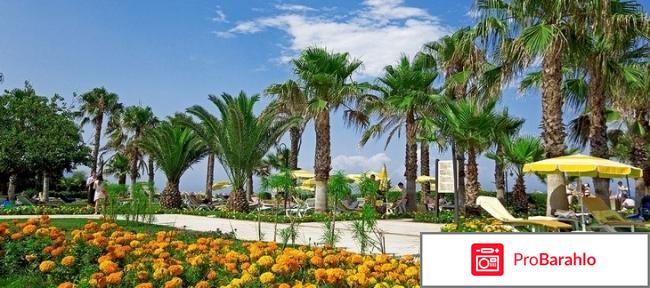 Champion holiday village 