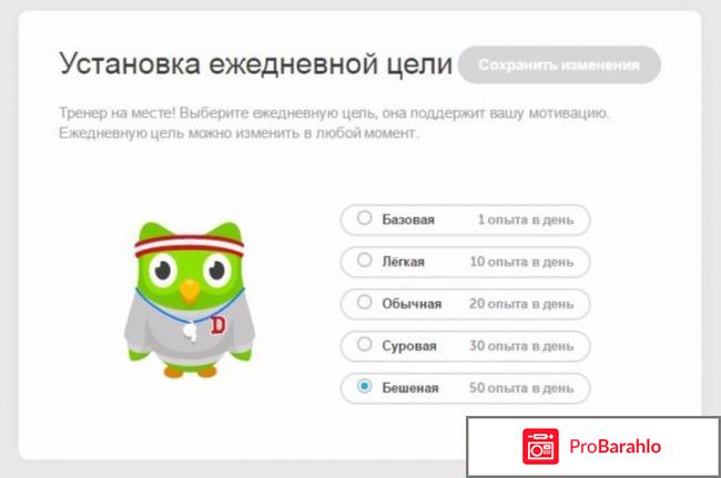 Сайт изучения иностранных языков Duolingo 