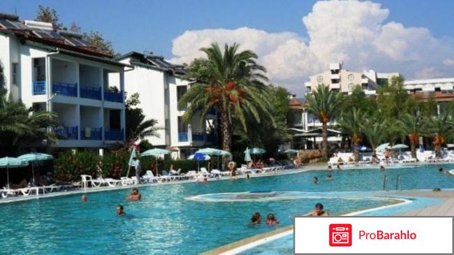 Mcs oasis beach club 