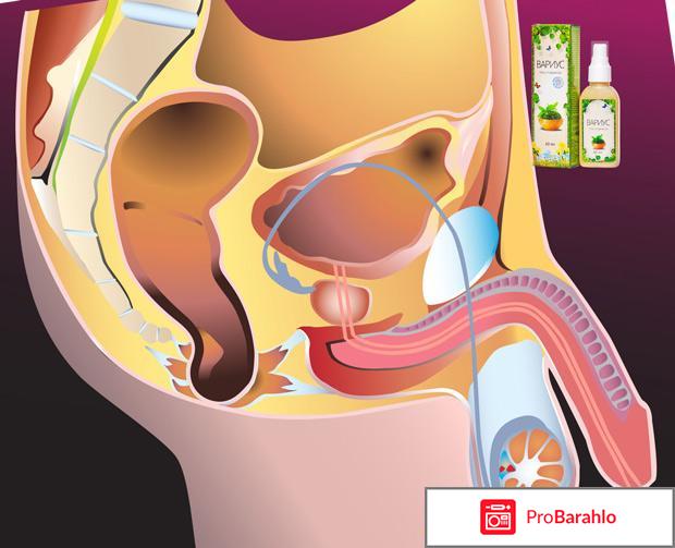 Купить гель вариус в украине 