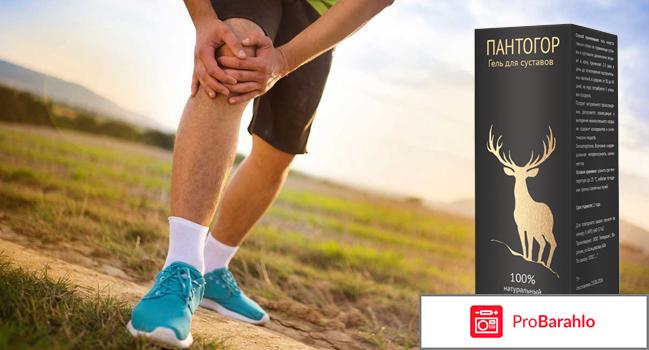 Пантогор гель для суставов обман