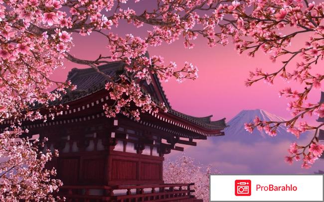 Шампунь tsubaki oil extra отзывы 