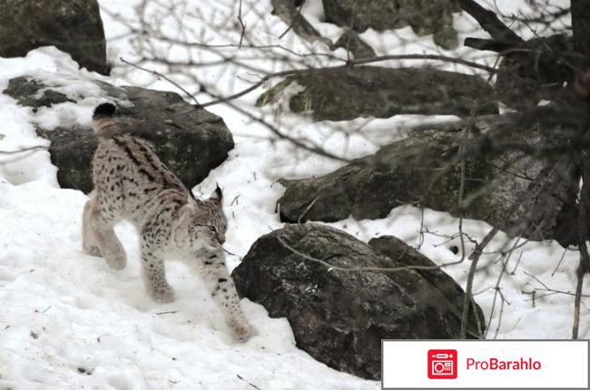 Стокгольм отзывы туристов фото