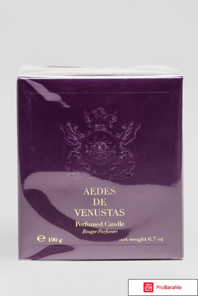 Ароматическая свеча Indica Aedes de Venustas 