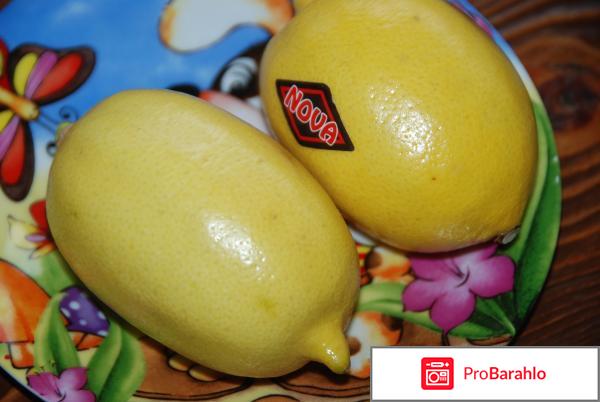 Чай для похудения с имбирем отрицательные отзывы