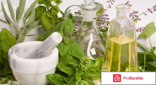 Травы для лечения кишечника 