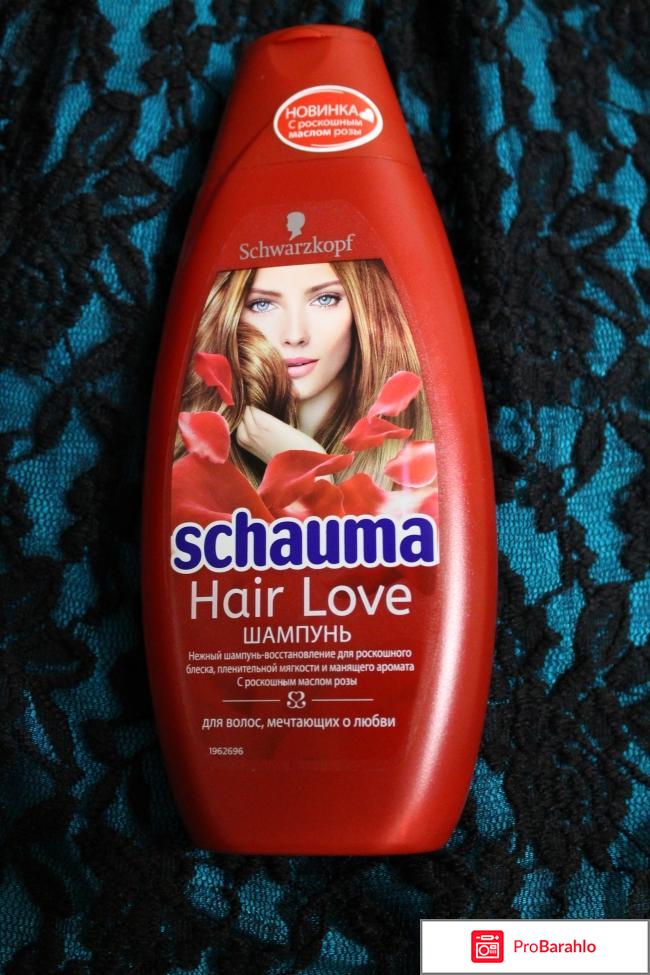 Шампунь Schauma Hair Love 