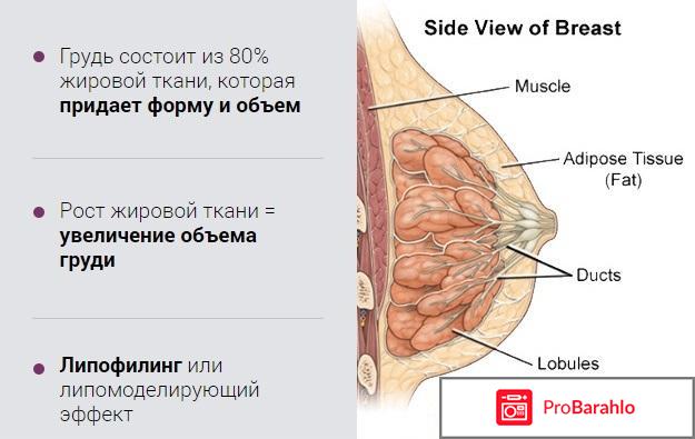 Крем для увеличения объема груди Queen Size обман