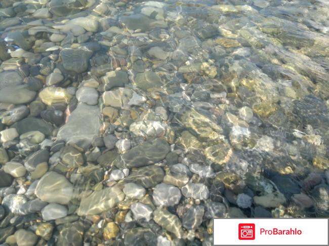 Отдых в лазаревском 2016 форум фото