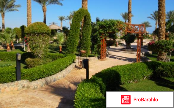 Фестиваль ривьера отрицательные отзывы